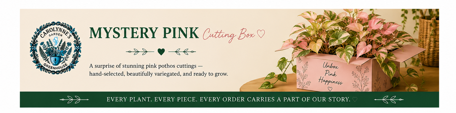 Pink Cutting Mystery Box