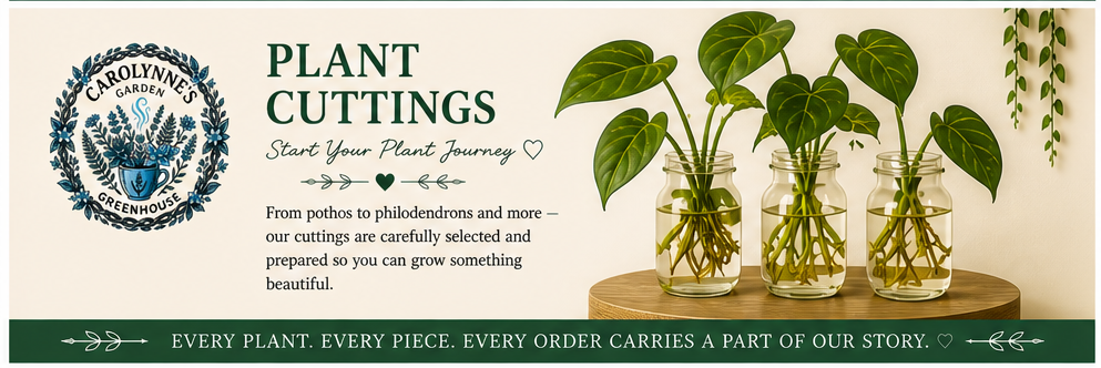 Plant Cuttings