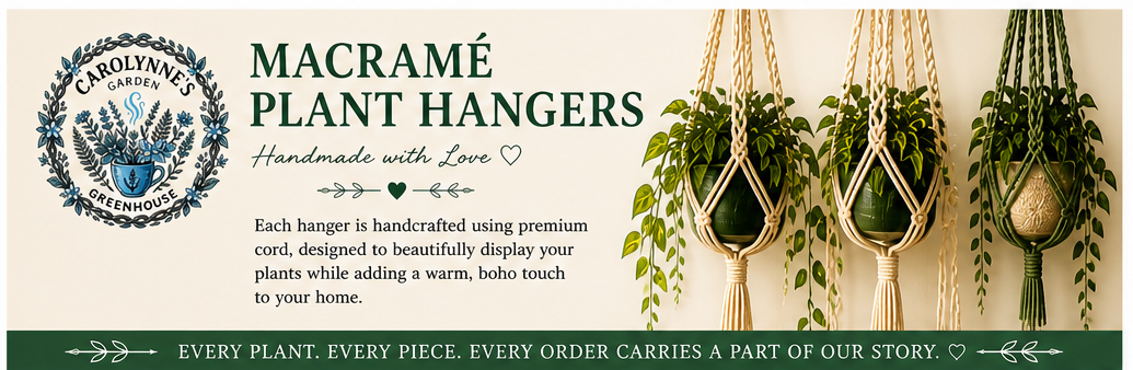Handmade Macramé Hangers