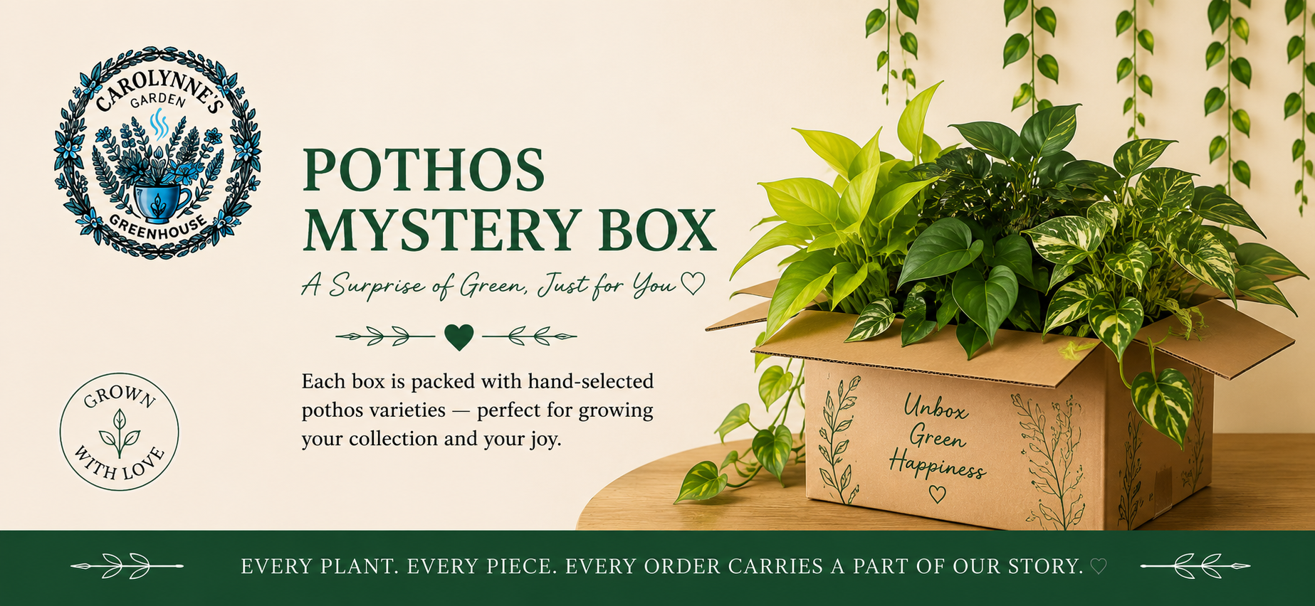 Pothos Mystery Box