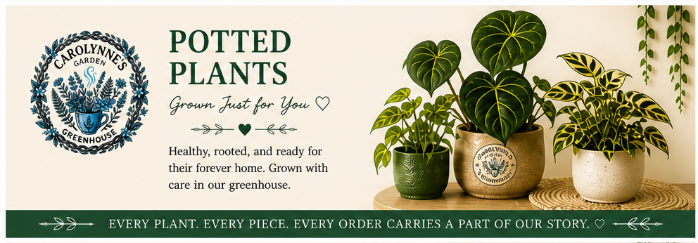 Potted Plants collection