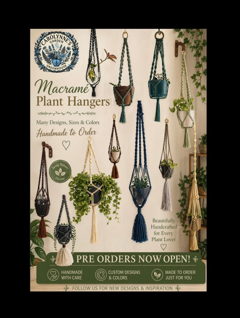 Decorative Macramé Plant Hanger