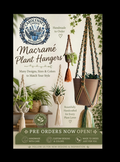 Decorative Macramé Plant Hanger