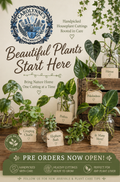 Houseplant Cuttings