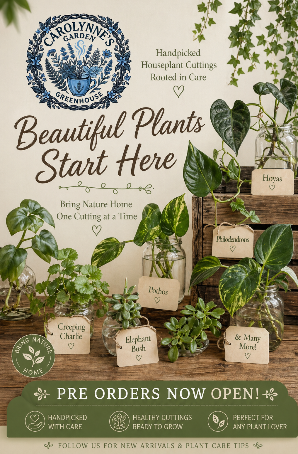 Houseplant Cuttings