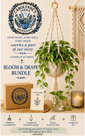 Bloom & Drape Bundle