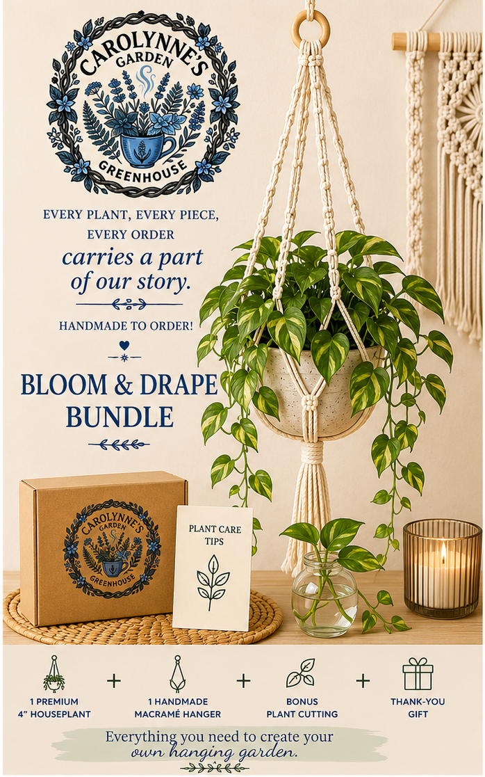 Bloom & Drape Bundle